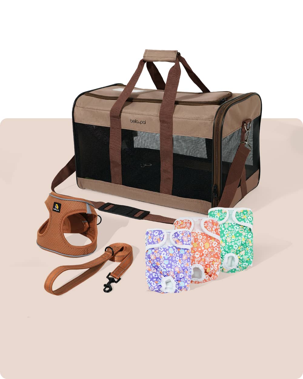 幼犬入門必備套裝 - 棕色 (3件裝)