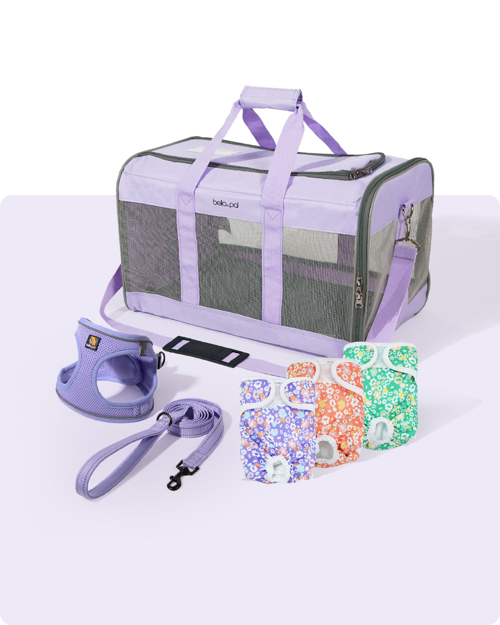 幼犬入門必備套裝 - 紫色 (3件裝)