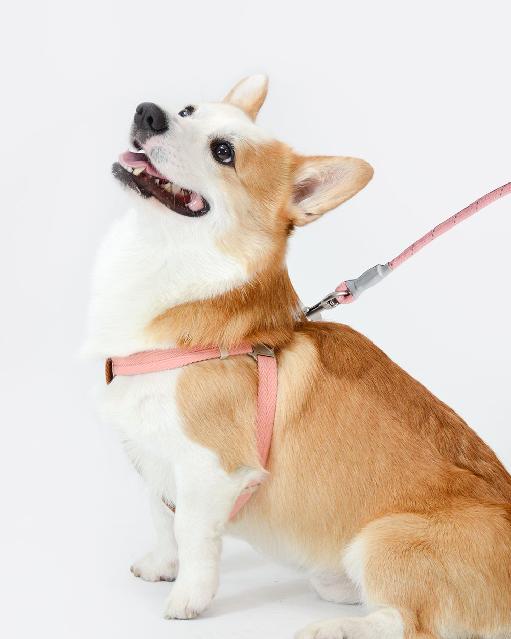 Soft Move 步入式胸背帶和牽引繩套裝 - 梅花鹿