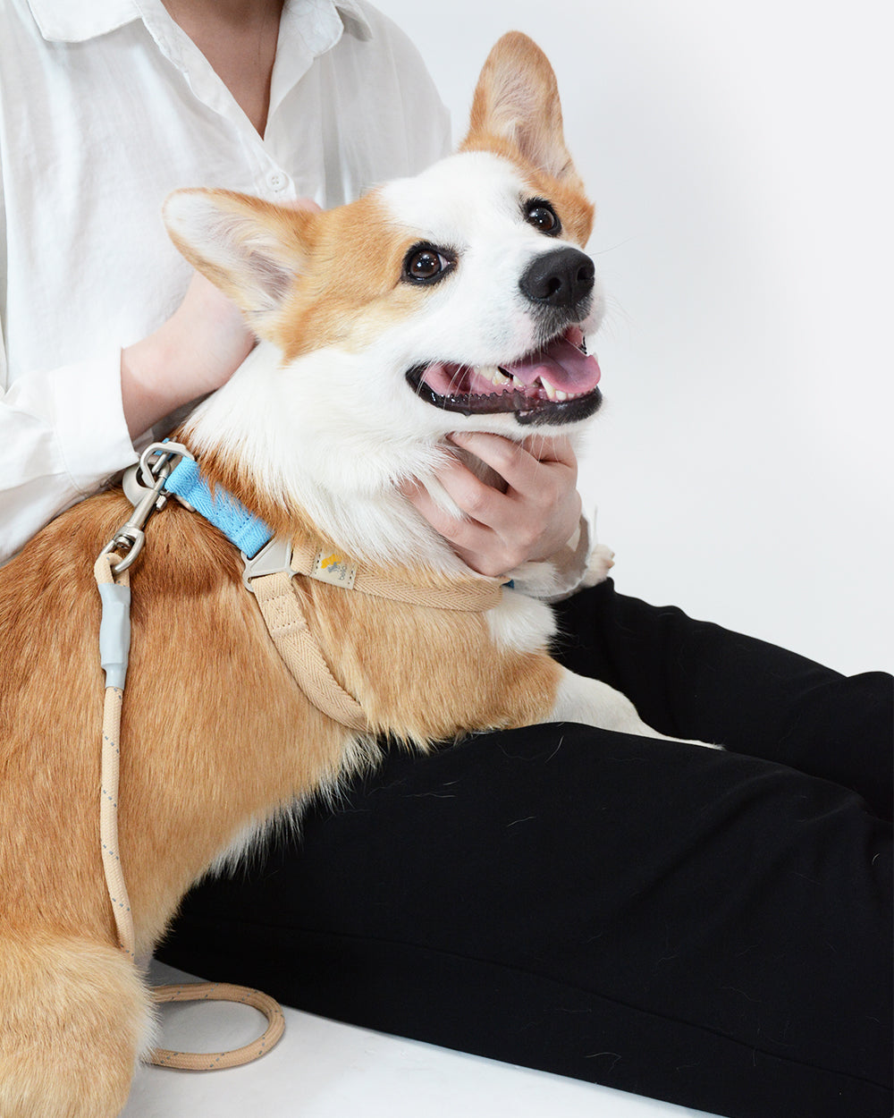 Soft Move 步入式胸背帶和牽引繩套裝 - 沙灘暖洋