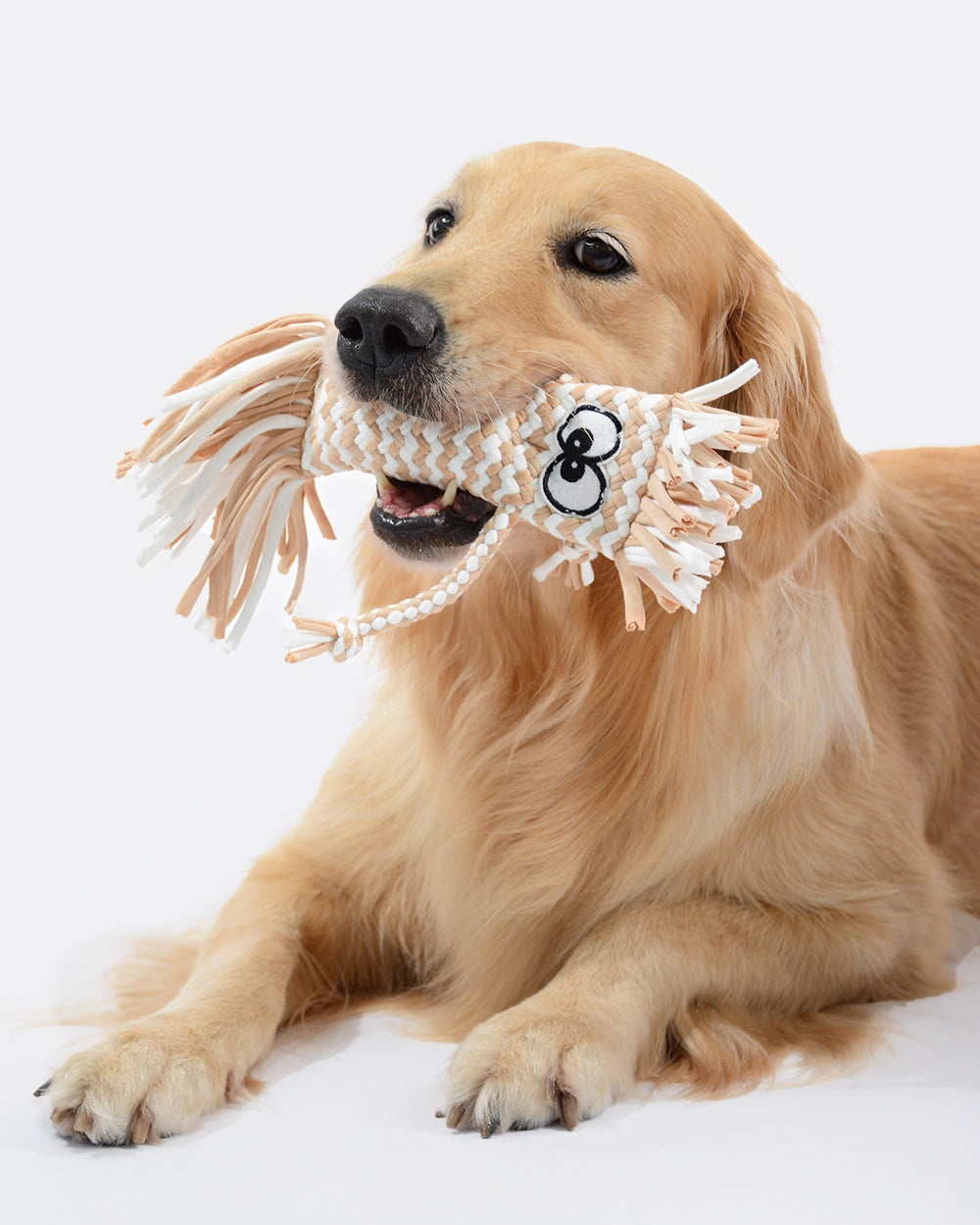 卡通設計吱吱咬狗玩具