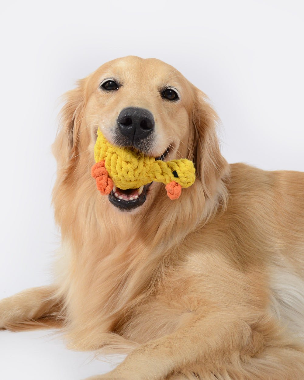 動物設計棉繩狗玩具 - 鴨