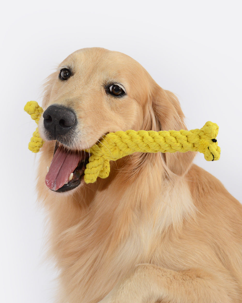 動物設計棉繩狗玩具