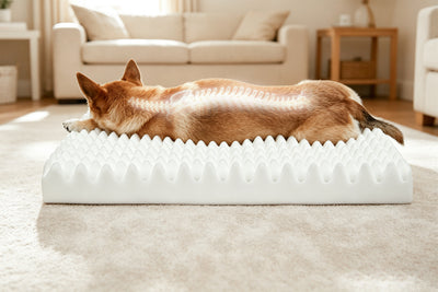 High-density orthopedic foam base