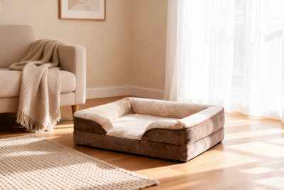 Home-friendly colors and sofa-like shape