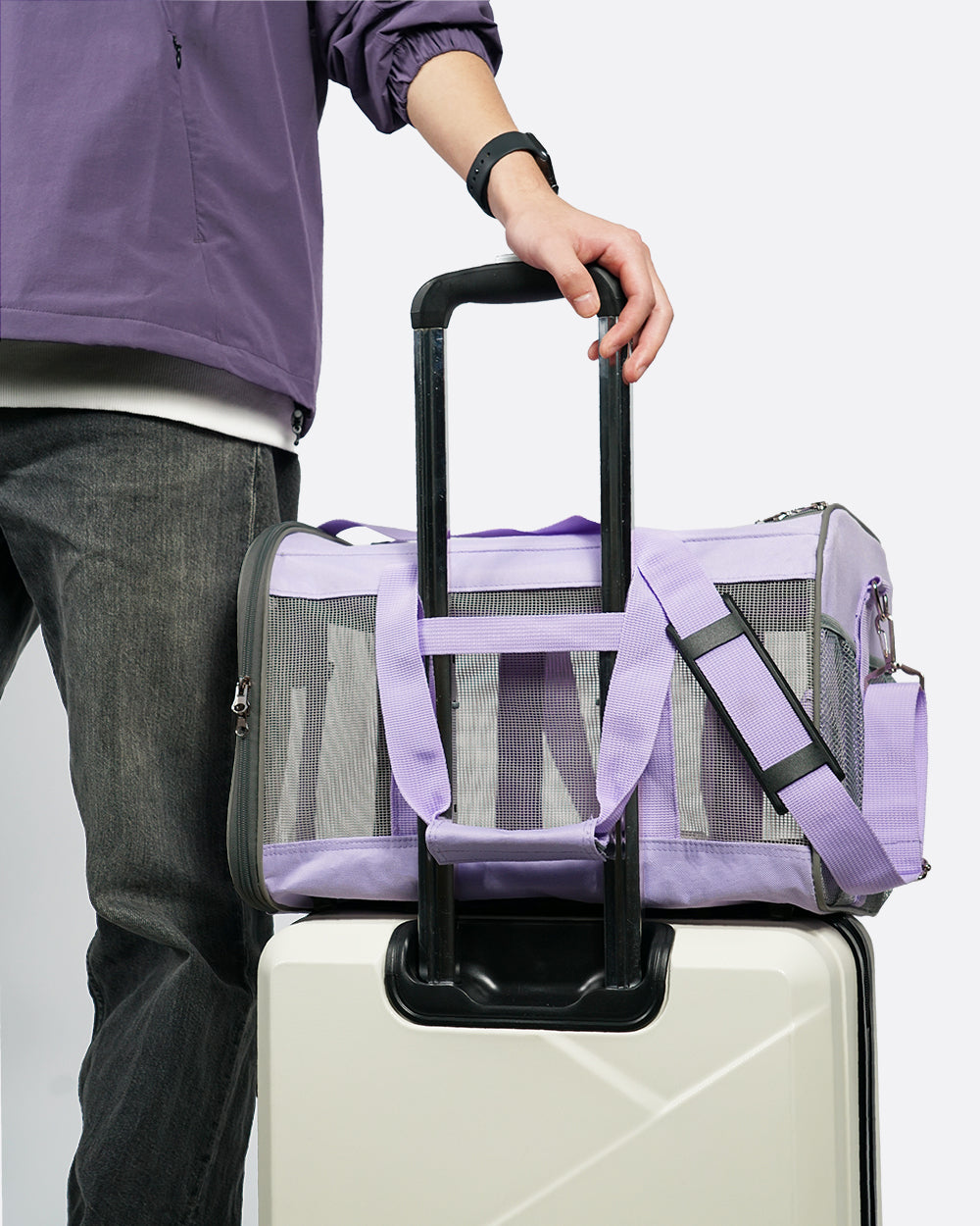 Portable Pet Travel Carrier - Lilac Mist