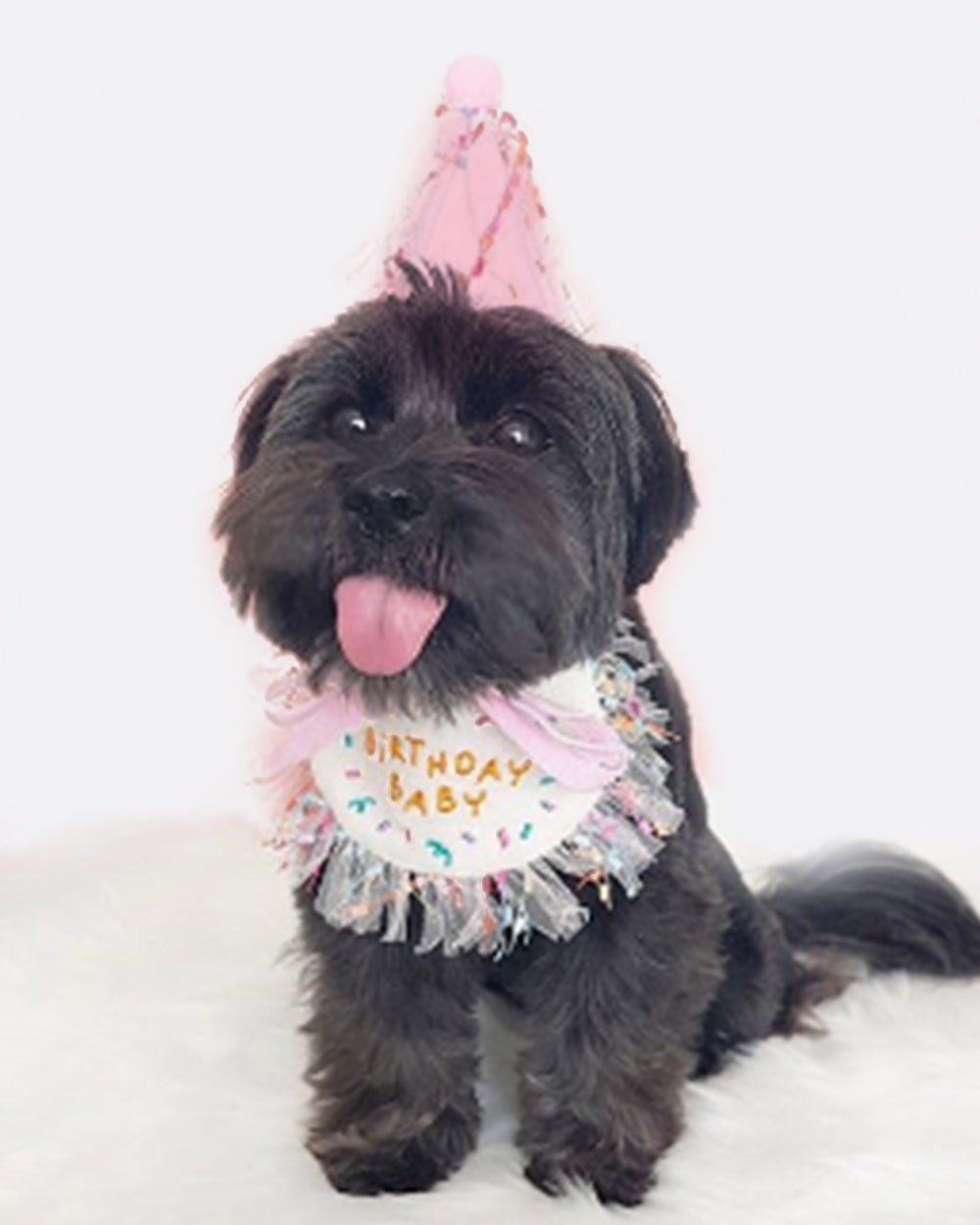 Lace Birthday Dog Bandana Set - Pink