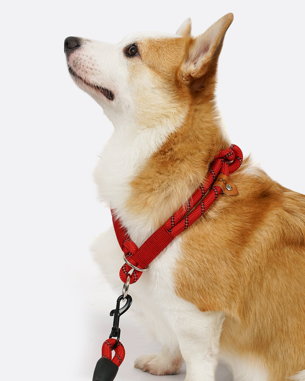 Martingale Double Rope Slip Collar - Classic Red