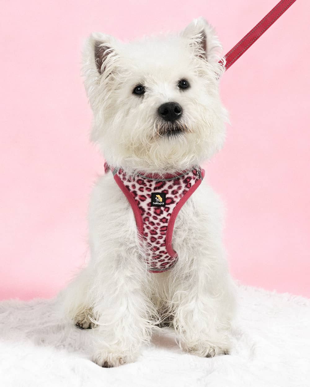 OxyMesh 透氣胸背帶連牽繩套裝 - 幻粉豹紋