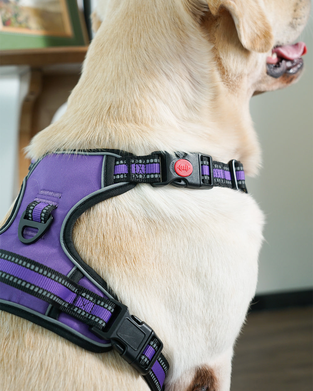 Smart Pro Easy-On No Pull Dog Harness - French Violet