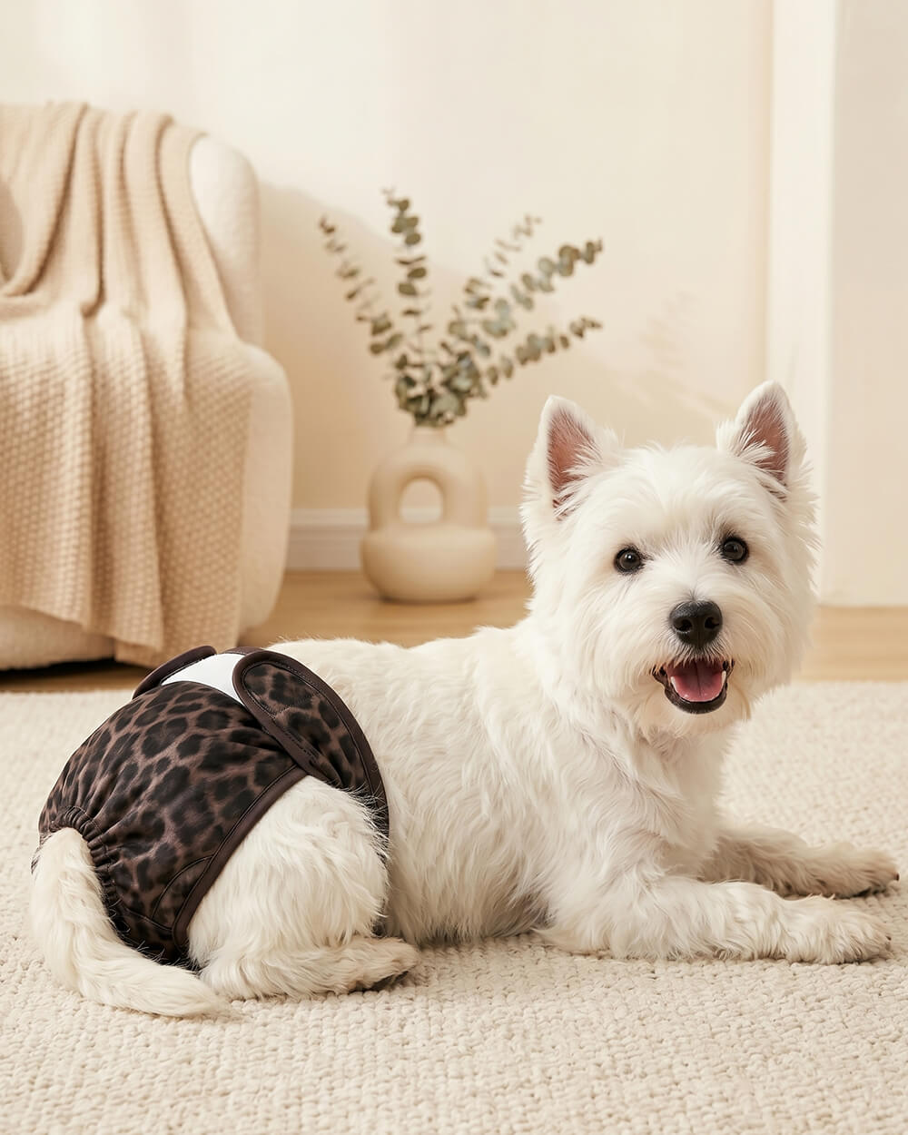 可水洗母犬尿布單片裝 - 棕調豹紋