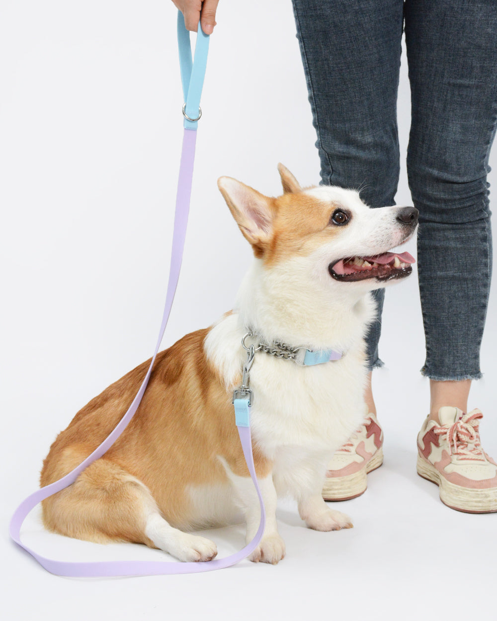 Aqua PVC Waterproof Martingale Collar and Leash Set - Lavender Blue