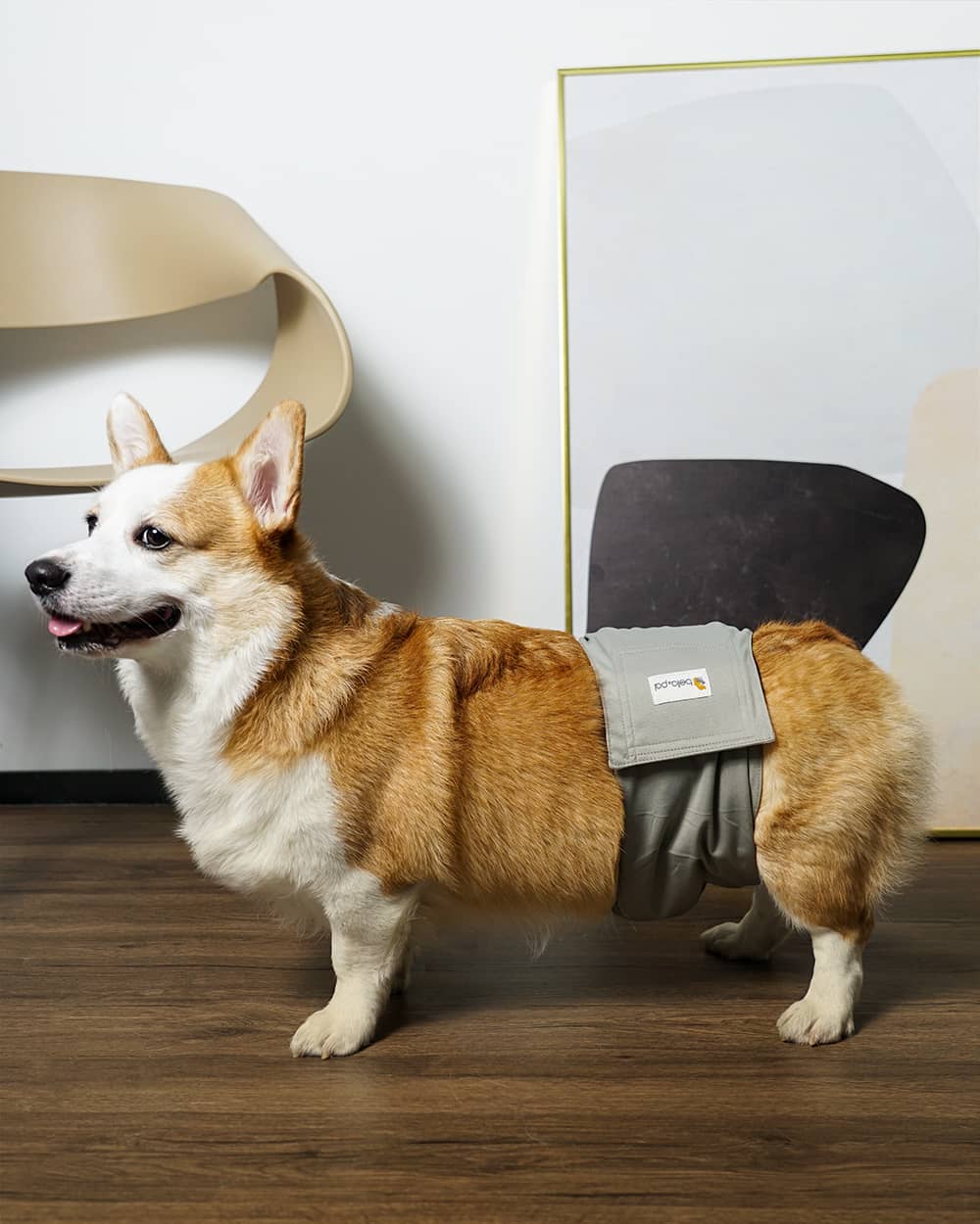 Washable Male Dog Belly Band - Gentle Grey