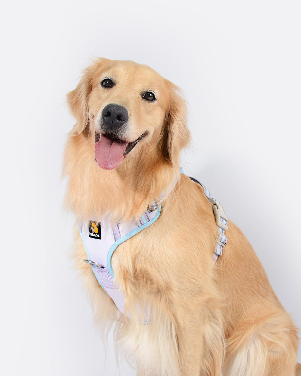Smart Pro No Pull Dog Harness - Lavender Blue