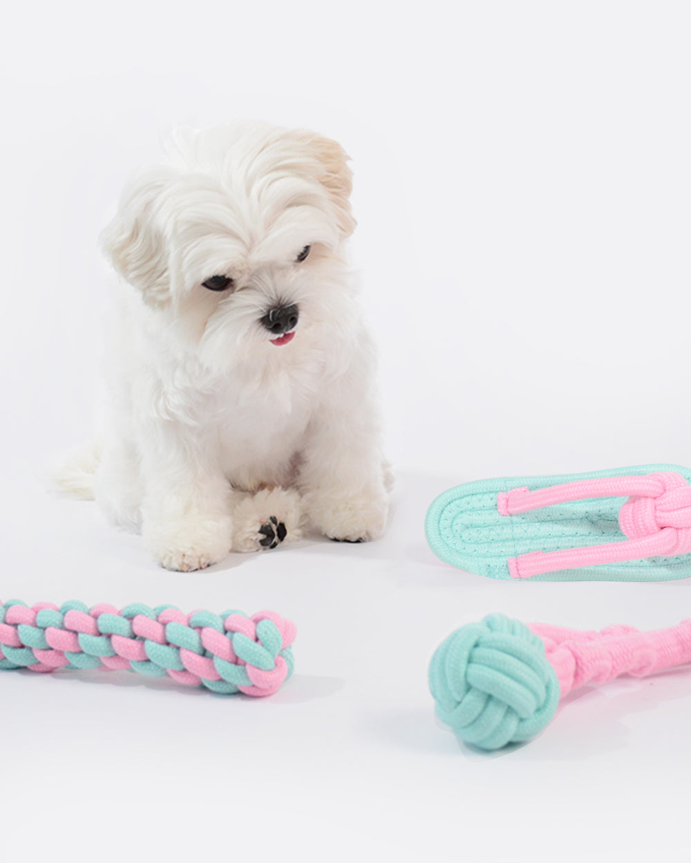 棉質狗狗咀嚼玩具 - 3 件裝