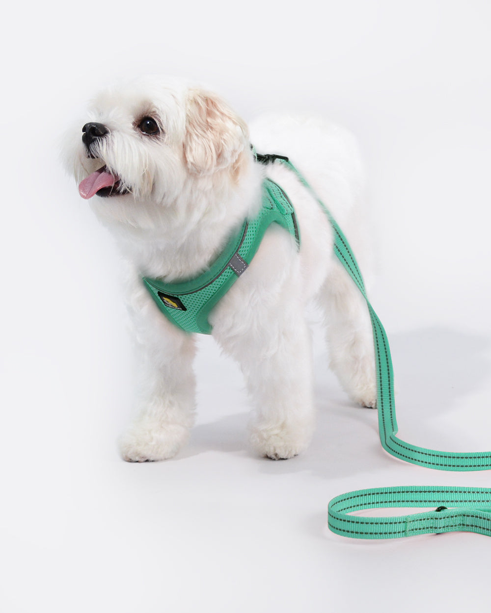 OxyMesh Velcro Step-in Harness and Leash Set - Emerald