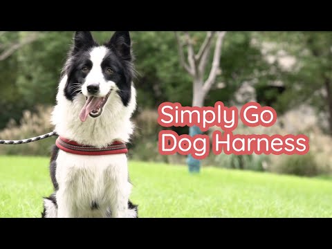 Simply Go Step-in Dog Harness - Violet